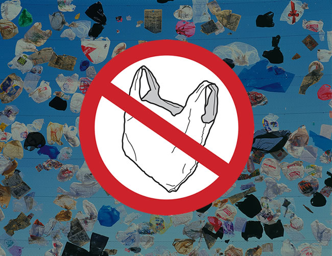 La vida útil de una bolsa de plástico es de 20 minutos y su uso debería ser mínimo de 15 veces por unidad. | GreenMom
