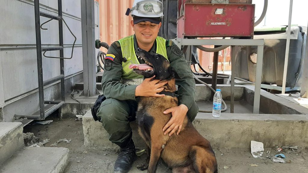 Tako, el perro que protagonizó el trabajo de la Policía Antinarcóticos