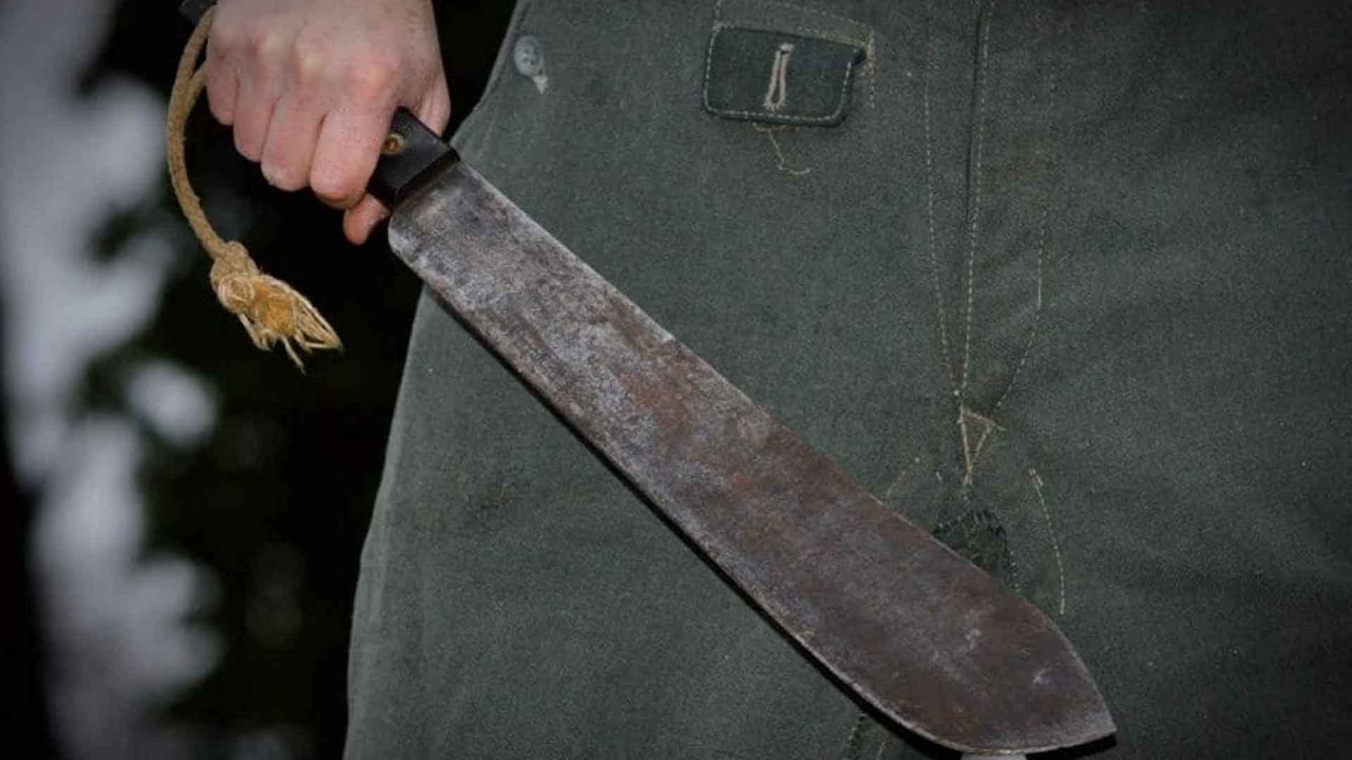 Imagen de referencia de un machete