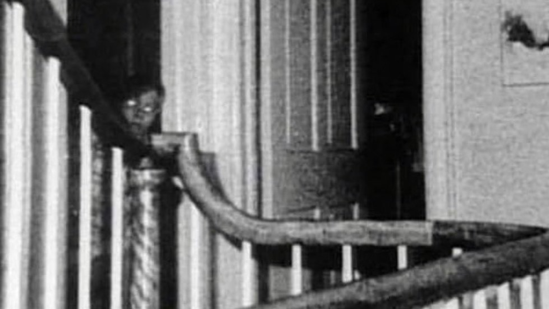 La famosa foto capturada por  Ed y Lorraine Warren en 1976, pretende mostrar el fantasma de John DeFeo, de nueve años.