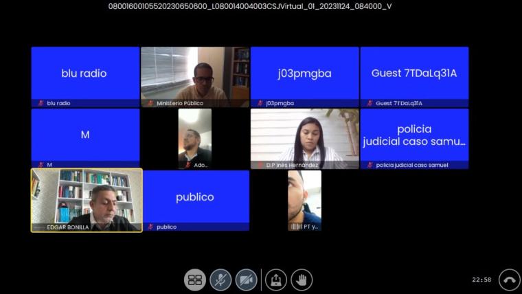 Captura de pantalla con los participantes de la audiencia celebrada de forma virtual este viernes