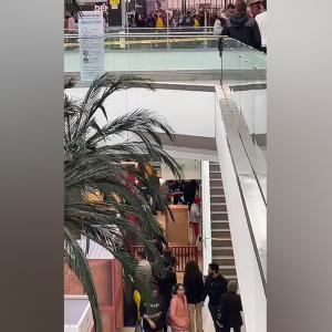 Aspecto de los operativos en el centro comercial