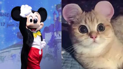 Mickey Mouse y un gato con las orejas recortadas